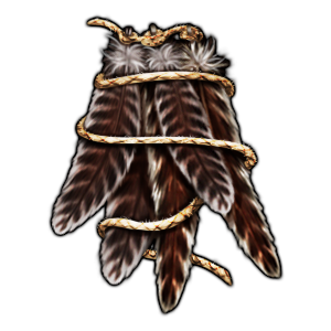 cluster_of_turkey_feathers