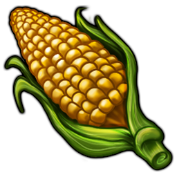ear_of_corn