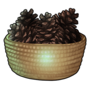 pinecones