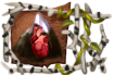 Title: Heart of the Mountain Title: Heart of the Mountain
