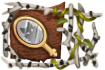 Title: Reflection of Title: Reflection of