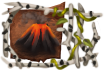 Title: Survivor of Helheim Title: Survivor of Helheim