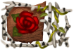 Title: The Beloved Title: The Beloved