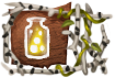 Title: The Lightseeker Title: The Lightseeker