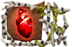 title_the_rekindler