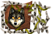Title: The Seer Title: The Seer