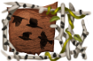 Title: The Untamed Title: The Untamed