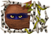 title_the_witch_of_the_mountain