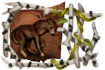 title_underdog