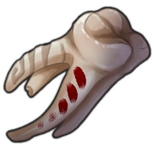 tooth
