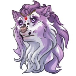 Imogen Tracker Image