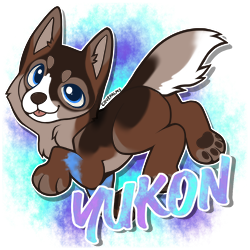 Yukon Tracker Image