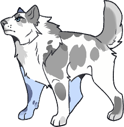 Asphodelos Tracker Image