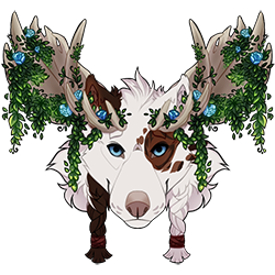 Elowynn Tracker Image