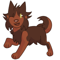 Blaze Tracker Image